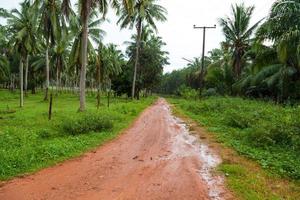 Mud Road after rain in Thailand photo