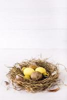 nest with colored easter eggs on white wooden background photo
