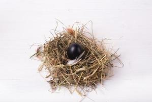 Easter composition with one chicken black egg in a nest of hay on a white wooden background photo