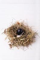 Easter composition with one chicken black egg in a nest of hay on a white wooden background photo