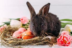 Easter bunny with easter eggs with tulips and a nest of hay. Positive spring easter composition.