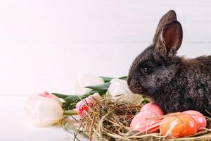 Easter bunny with easter eggs with tulips and a nest of hay. Positive spring easter composition. photo