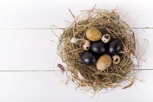 nido con huevos de pascua de colores sobre fondo blanco de madera foto