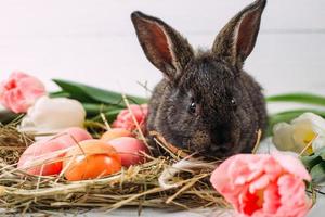 Easter bunny with easter eggs with tulips and a nest of hay. Positive spring easter composition. photo