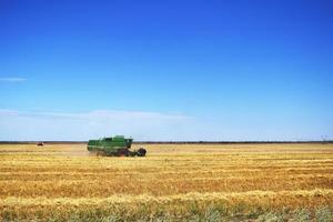 harvester harvests in the field photo