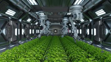 Robotic in agriculture futuristic concept. photo
