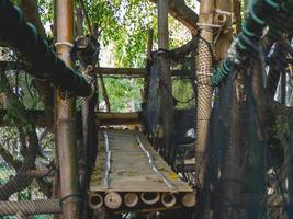 bamboo bridge and nature photo