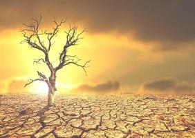 concept of environmental change and global warming photo