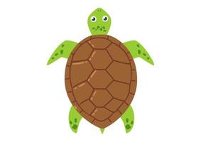 Cartoon Turtle in flat style. Vector illustration of turtle icon isolated on white background