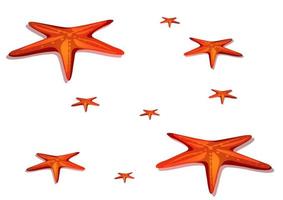 Set of sea stars in flat style. Vector illustration of sea stars isolated on white background