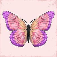 mariposa rosa voladora dibujada a mano con alas coloridas desde la parte superior aislada en fondo rosa
