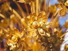 Gold flower and temple photo