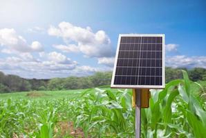 panel fotovoltaico, nueva tecnología para almacenar y utilizar la energía de la naturaleza con la vida humana, la energía sostenible y el concepto de amigo del medio ambiente. foto