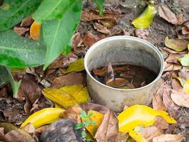 Cup and leaf photo