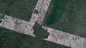 Close up of a chapped-white line drawn on a green-broken floor at public sports field. photo