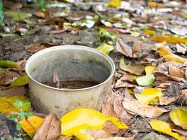 Cup and leaf photo