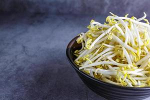 bean sprouts in a bowl photo