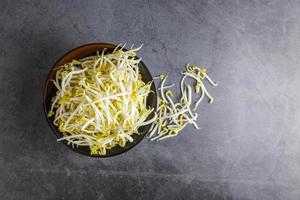 bean sprouts in a bowl photo