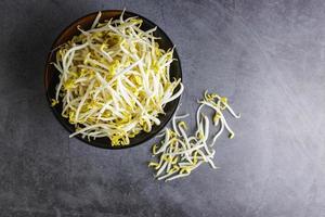 bean sprouts in a bowl photo