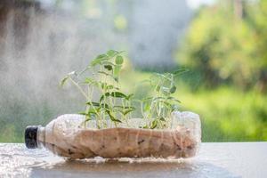 reciclaje de plástico. el primer plano y el enfoque selectivo en el árbol se plantan en botellas de plástico recicladas sobre la mesa blanca. hidroponía en una botella de plástico sobre papel higiénico. lluvioso, bokeh fondo borroso foto