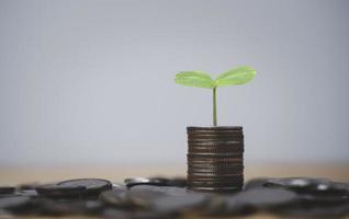 Plant  growth from coins stacking for money saving deposit and investment profit growth concept.