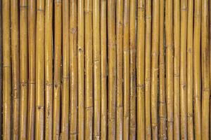 fondo de textura de madera de bambú dorado en asia foto