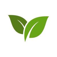 nature leaves logo design vector
