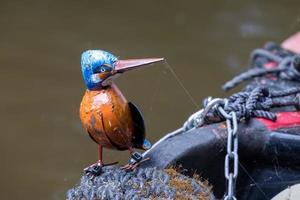 TREVOR WREXHAM, WALES, UK, 2021. Tin Kingfisher on a narrow boat photo