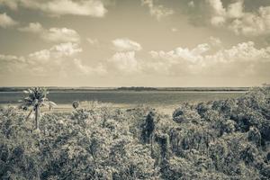 vista panorámica de la laguna muyil en la selva tropical del increíble méxico. foto