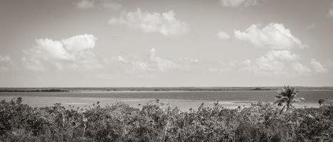 Muyil Lagoon panorama view in tropical jungle of amazing Mexico. photo