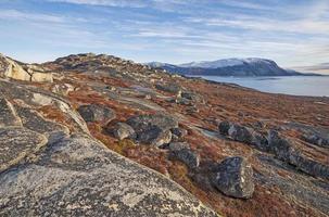 Fall Colors among the Barren Rocks of the High Arctic photo