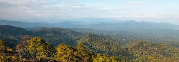 high angle view of forest and mountains in summer photo