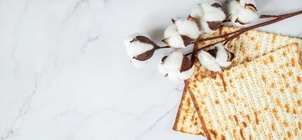 Happy Passover. Background religious Jewish holiday Pesach. Matzo bread and cotton flowers on a white marble. Copy space. photo