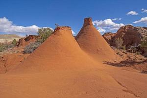 Weathered Funnels  in the Desert photo