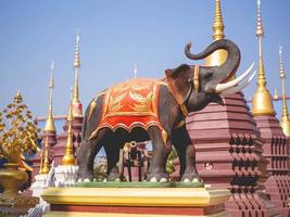 elephant and temple photo