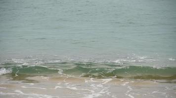 Waves on a sandy beach video