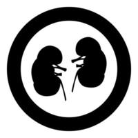 Kidney the black color icon in circle or round vector