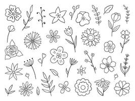 Hand drawn set of flowers and branches doodle. Floral and herbal elements.in sketch style. Vector illustration isolated on white background.