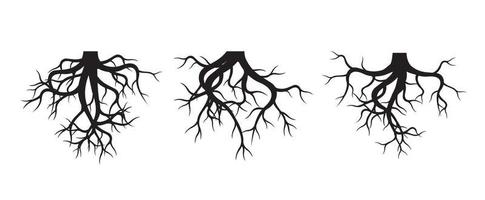conjunto de raíces de árboles. ilustración de contorno vectorial. planta en jardín.