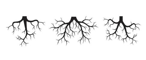 conjunto de raíces de árboles. ilustración de contorno vectorial. planta en jardín. vector