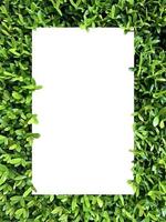 Top view nature concept, Paper frame layout note, Flat lay on green Leaves background
