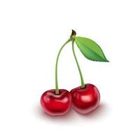 Vector illustration of Ripe red cherry berries with leaves
