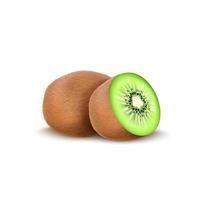 Kiwi fruit isolated on white background vector