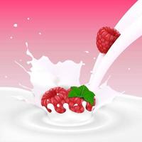 Flowing milk splash with raspberry fruits vector