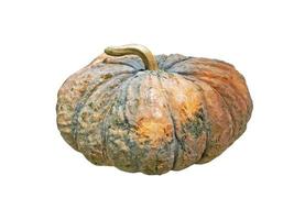 Close-up of Pumpkin isolated on white background with Clipping Path photo