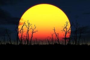Trees die in drought-stricken areas. because of global warming photo