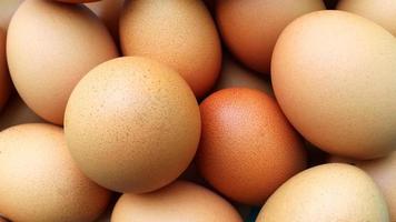 cáscara marrón de huevo de gallina tiene un buen valor nutricional para el cuerpo. foto
