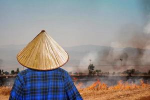 el agricultor está quemando paja en los campos de arroz porque el problema de la contaminación del aire es pm 2.5. foto