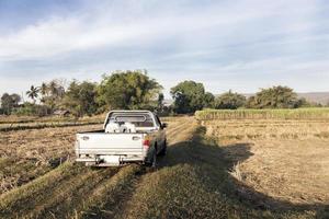 truck on field in rural agriculture life photo