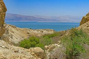 The Dead Sea Viewed from an Oasis